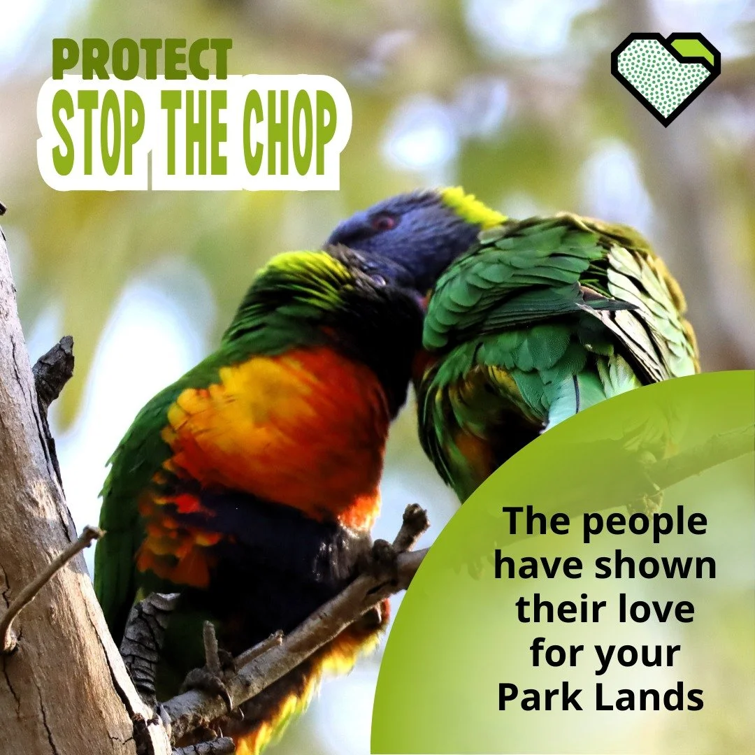 PROTECT: Stop the Chop

It has been a little more than a week since the rally at Montefiore Hill. This is a reminder to Premier Peter Malinauskas that the people want to protect the Adelaide Park Lands. 

#ProtectAdelaideParkLands #AdelaideParkLands 