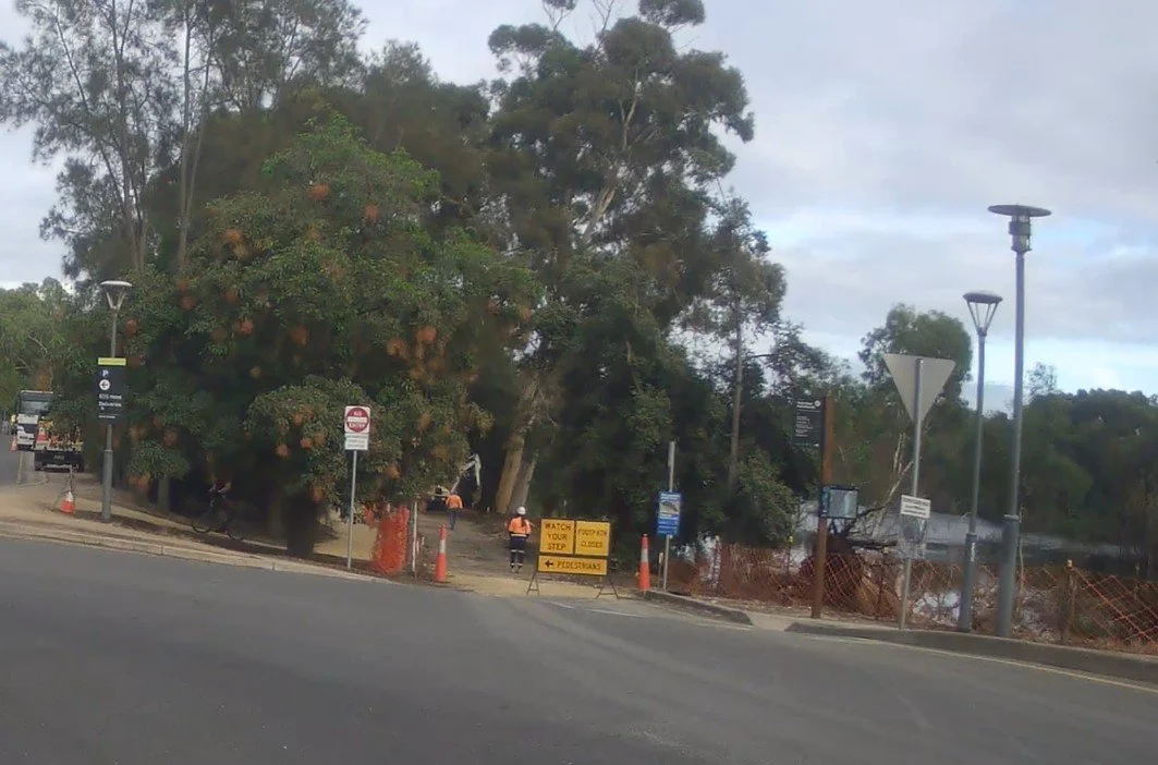 The work site on 12 March 2026