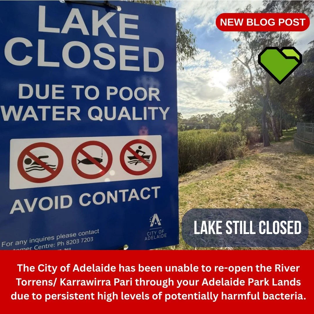 BLOG: LAKE STILL CLOSED

The City of Adelaide has been unable to re-open the River Torrens/ Karrawirra Pari through your Adelaide Park Lands due to persistent high levels of potentially harmful bacteria.

The River and the Torrens Lake were closed on