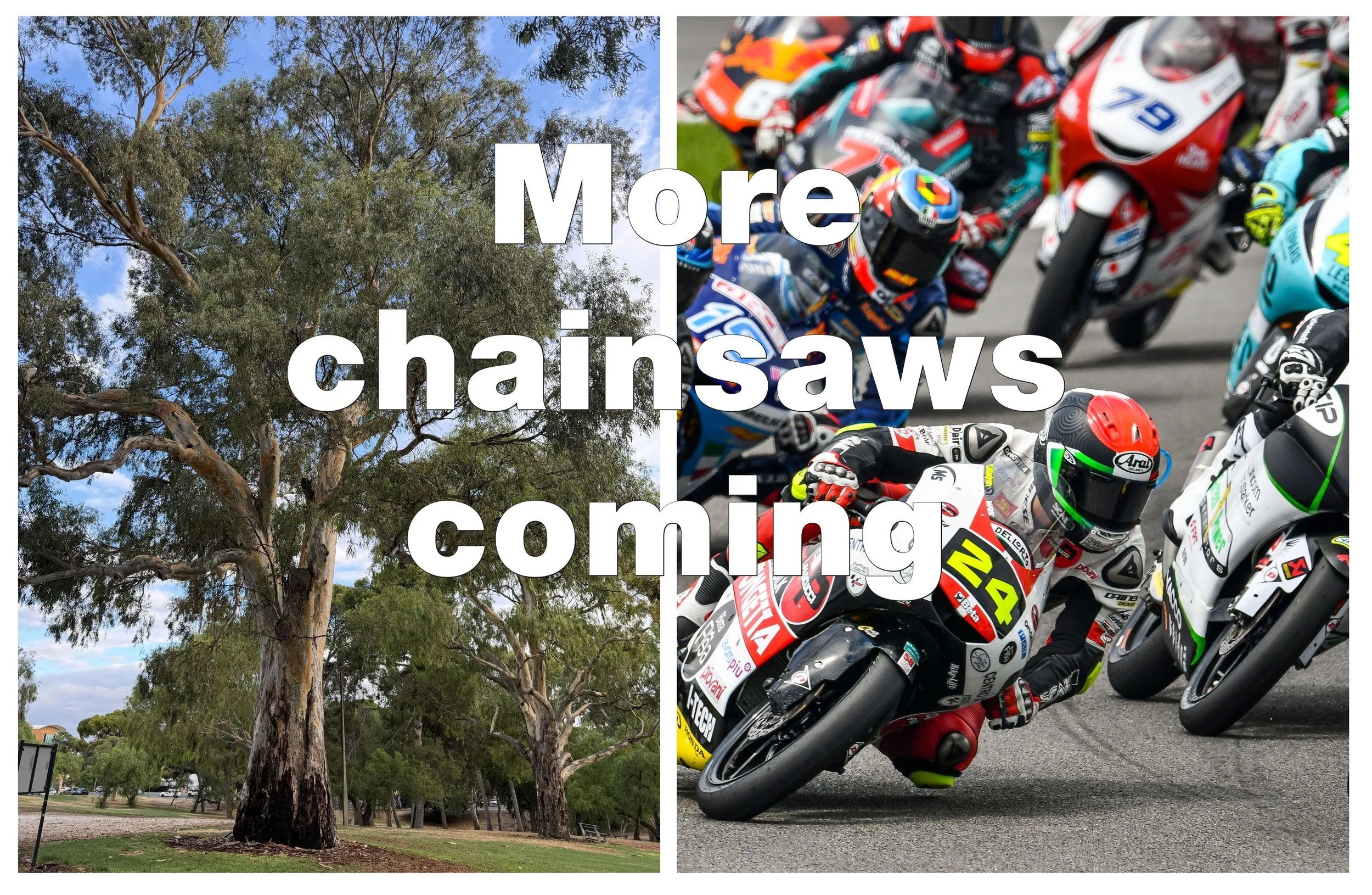Tree and motorbikes-more chainsaws coming.jpg