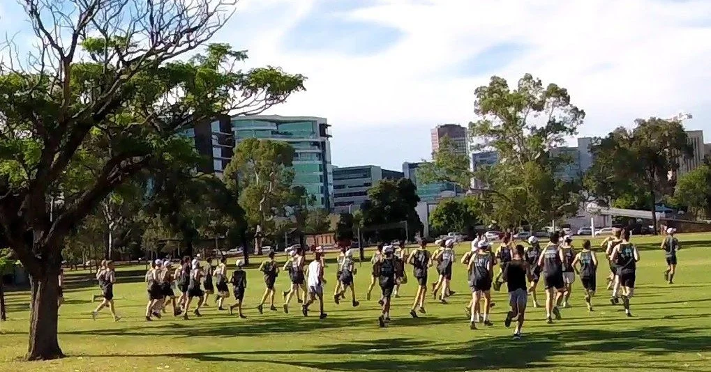 Our Guided Walk this Sunday is in the part of your #adelaideparklands that features more different sports than any other Park. Come with us through Blue Gum Park / Kurangga (Park 20) to see how many sports are played on these Open Green Public fields