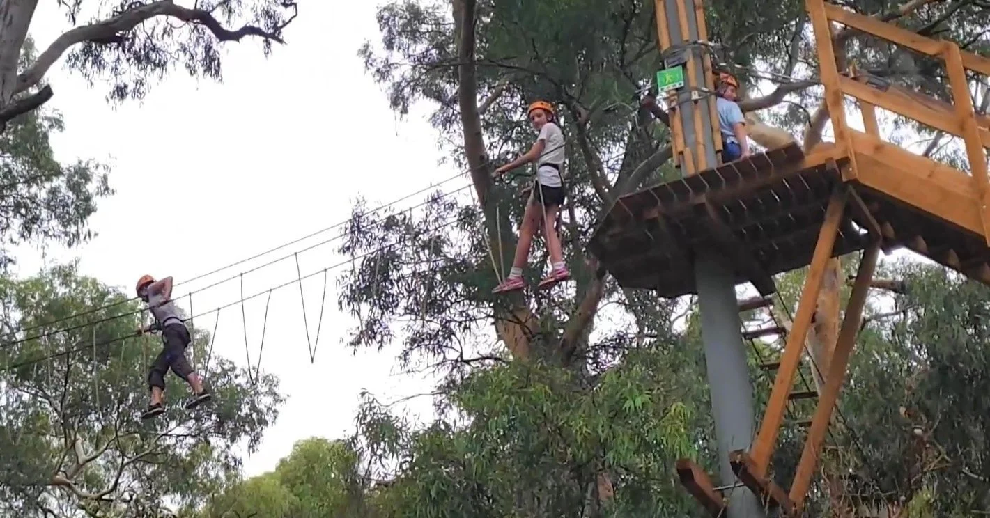 They are two of the most popular locations for kids in your #adelaideparklands.  Our Guided Walk this Sunday through Blue Gum Park / Kurangga (Park 20) will stop at #treeclimb and the BMX track among other locations. 

Click the link in our bio to bo