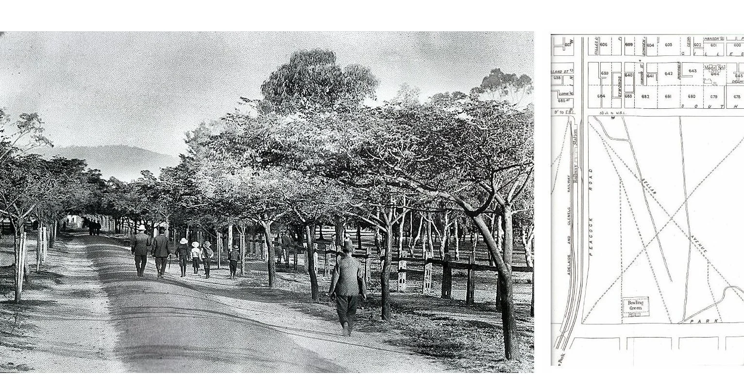 The pathways in Blue Gum Park /Kurangga (Park 20 of your #adelaideparklands) were laid out in the late 1800's and are still used every day, by commuting cyclists and pedestrians.  Hear the story of this Park's development over the years during our Gu