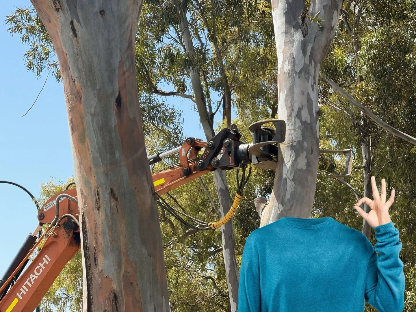 There is no electoral mandate for either of the State Government&rsquo;s imminent proposed Park Lands attacks, because voters were kept in the dark.  Read the story on our Blog.  The link's in our bio