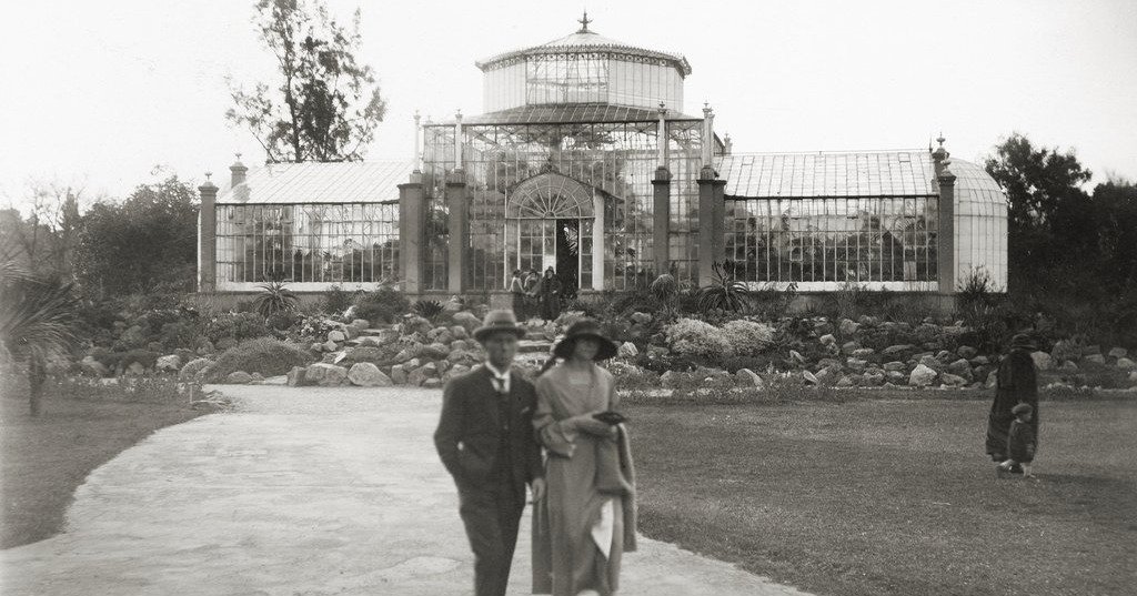 Our Guided Walk next Sunday crosses two very different bridges:  one heritage-listed from the 1870s and the other a 21st century award winner.  Hear the stories of both bridges, linked by a riverside path through lush shaded native vegetation. 

To b