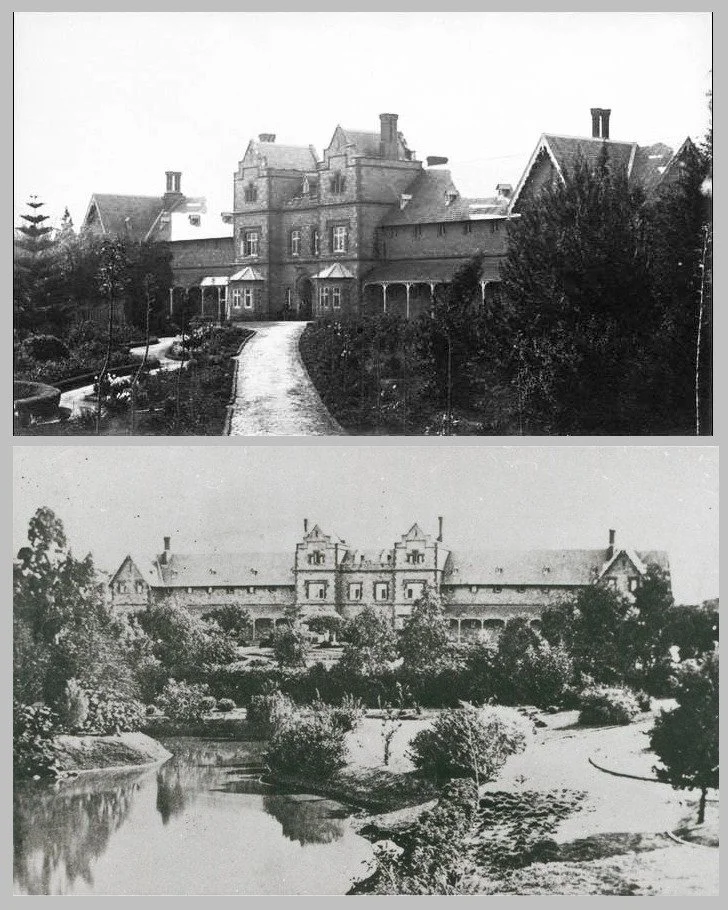 Restoring lost native vegetation in your Adelaide Park Lands is an ongoing task for the City of Adelaide.  During our Guided Walk this Sunday in Park 11 we'll show you a success story:  Mistletoe Park / Tainmuntilla (Park 11) here along the river's e