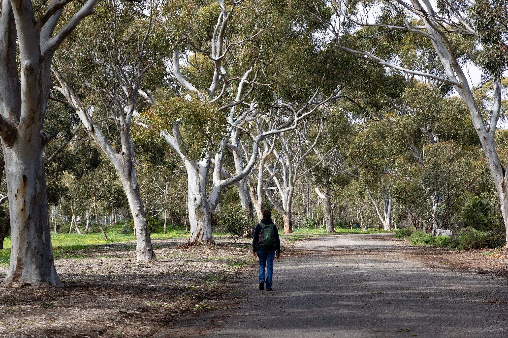 Impact on John E Brown Park
