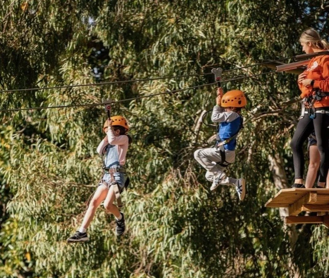Longer life for TreeClimb
