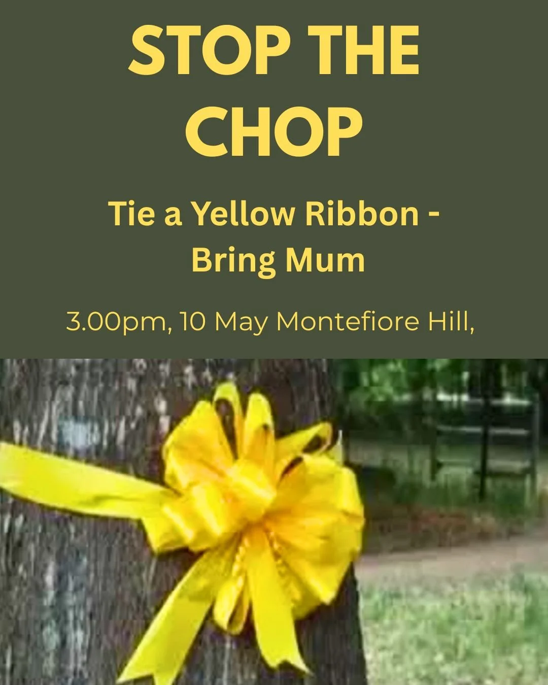 The chainsaws are coming for the urban forest of the North Adelaide Golf Course &mdash; and we're asking you to stand with us against them.

This Mother's Day, the Adelaide Park Lands Association is taking a stand. We'll be marking the occasion by ty