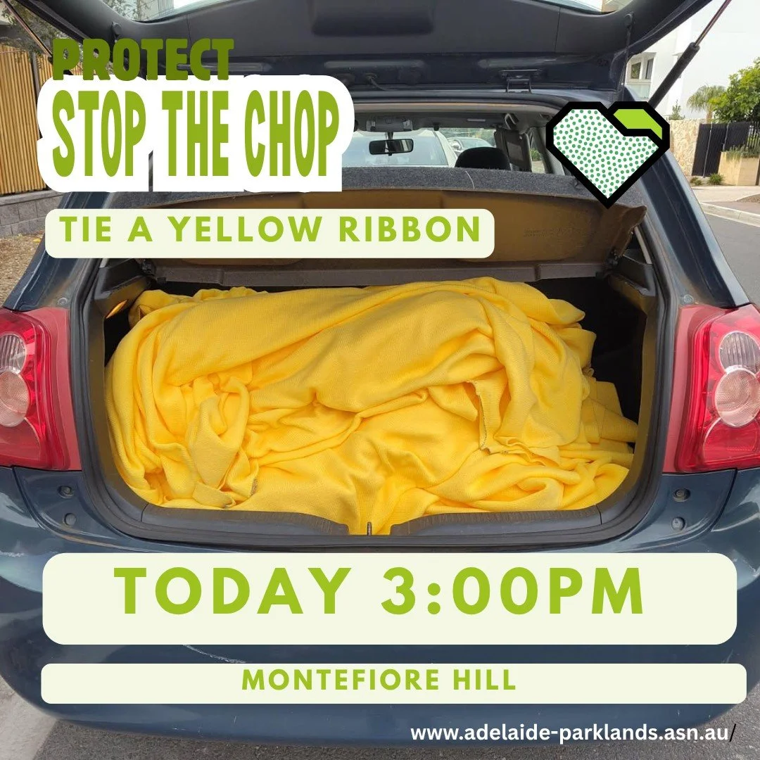 PROTECT: Stop the Chop and tie a yellow ribbon

The chainsaws are coming for the urban forest of the North Adelaide Golf Course &mdash; and we're asking you to stand with us against them.

Ribbons will be provided, but feel free to bring your own. Th