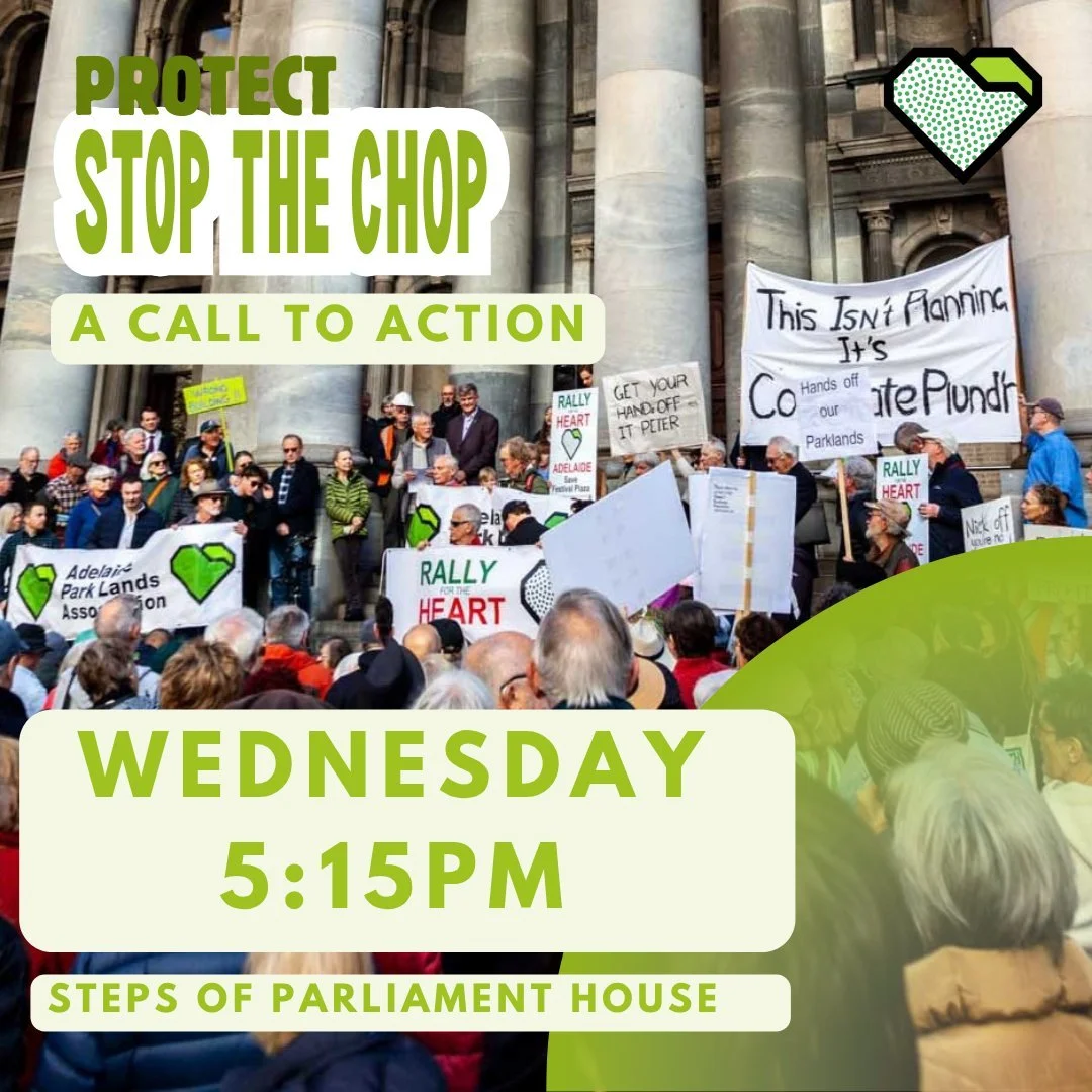 PROTECT: Stop the Chop

The destruction has started 😥

Premier Peter Malinauskas has started the destruction without concern for wildlife. 

If this bothers you, then show your concern about your Park Lands and join with others to let the Premier kn