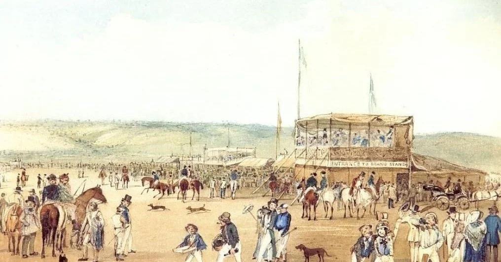 We're diving into the history of your #adelaideparklands this Sunday, with a focus on horses, in the northern half of Victoria Park / Pakapakanthi (Park 16). Join us on our 90-minute Guided Walk, as we share tales of horses, motor racing, olive trees