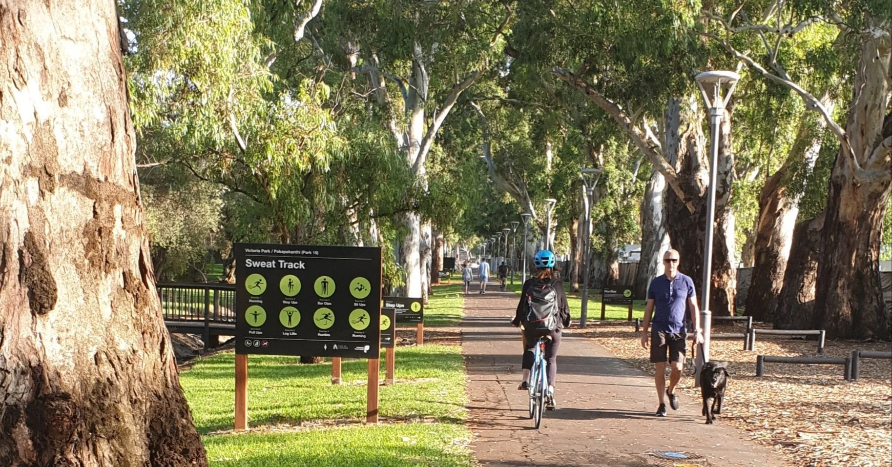 The northern half of Victoria Park / Pakapakanthi (Park 16) is one of the most popular parts of your #adelaideparklands for exercising. On our 90-minute Guided Walk this Sunday, you'll hear how this "sweat track" was set up in 1971, and why