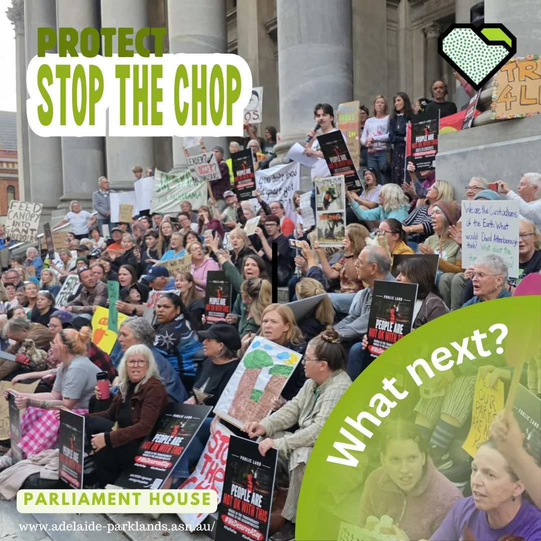 PROTECT: What's next for Stop the Chop? Attend Parliament House to show support for MPs who support your Park Lands!
 
On Wednesday 20 May, the Hon Robert Simms MLC will bring a motion to the Legislative Council to cancel the North Adelaide Golf Cour