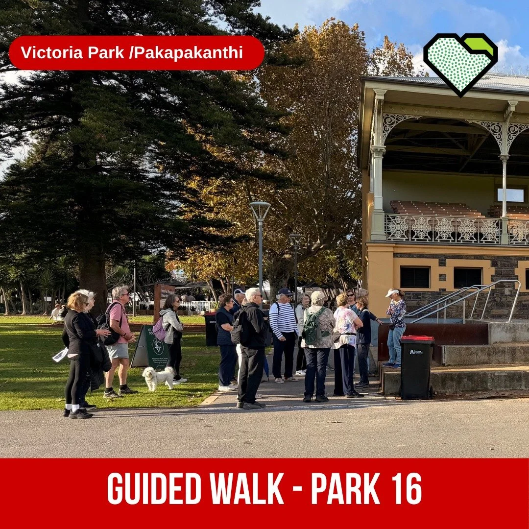 EXPLORE: Guided Walk: Victoria Park / Pakapakanthi (Park 16) Northern Half

The Guided Walk of this well know Park on Sunday was led by Liz Tidemann. Participants learned about it&rsquo;s rich history and the varied uses of this Park Land. 

While ex