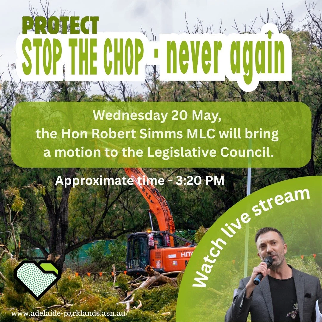 PROTECT: The Greens motion to stop the redevelopment

Today, Wednesday 20 May, the Hon Robert Simms MLC will bring a motion to the Legislative Council to cancel the North Adelaide Golf Course redevelopment and instead allocate the $45 million to assi