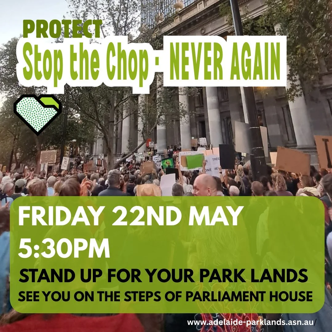PROTECT: STOP THE CHOP - NEVER AGAIN

By this time tomorrow we will be gathered on the Steps of Parliament House to show the Government we will never let this happen again.

Bring your signs, your voice and your passion to show your support and help 