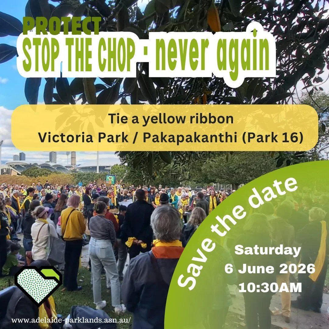 PROTECT: SAVE THE DATE

Saturday 6 June 2026
10:30am
Victoria Park / Pakapakanthi (Park 16)

Public concern is growing as the Labor Government continues to encroach on your Park Lands.

Save the date and join others in a united call to say: enough is