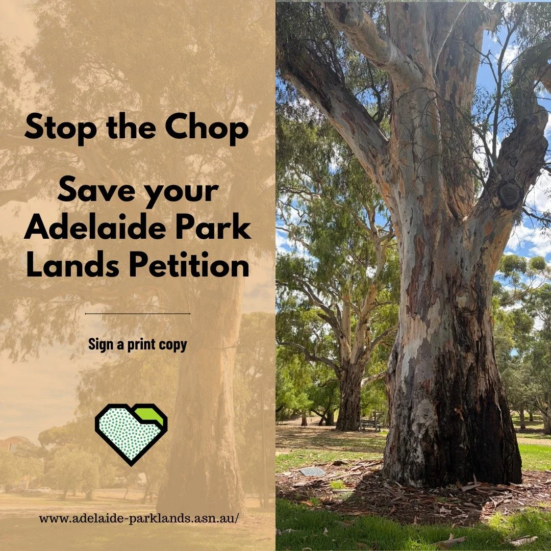 PROTECT: SIGN A PRINT PETITION

The online petition for Stop the Chop has amassed more than $49,000 signatures. Sadly the State Government will not accept an online petition.

A print version is now available for you to add your signature. See the LI