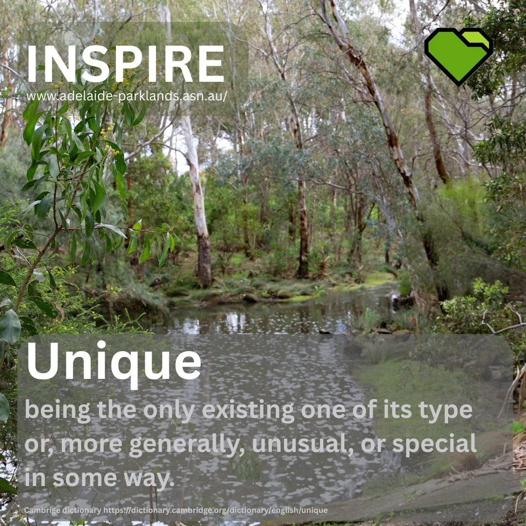INSPIRE: Unique

The Adelaide Park Lands were a WORLD FIRST and they are also a WORLD'S ONLY &ndash; totally unique. 

This word has been bantered about by many over these last weeks, but it still rings true. It was a planned public park and continue