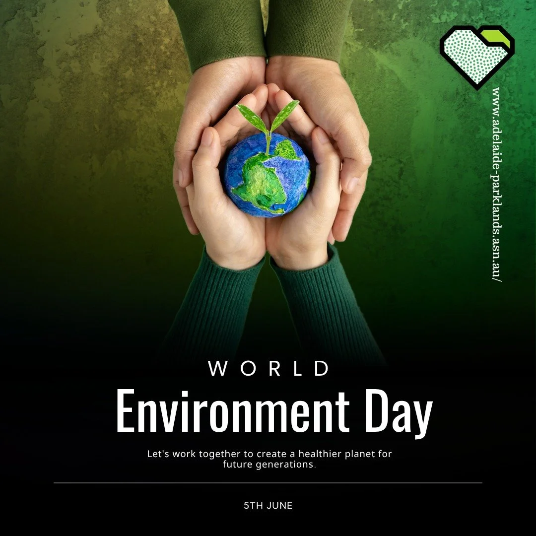 PROTECT: World Environment Day

Today is World Environment Day. A reminder your Park Lands are a precious resource for the all South Australians. 

Let's work together to protect and maintain your Park Lands to ensure a healthier and vibrant space fo