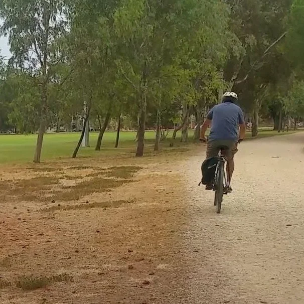 Our 90-minute Guided Walk this Sunday takes you on a circuit used by many Adelaide athletes and sports stars.  The 2.2 kilometre "Uni Loop" for runners is just one of the features on our Trail Guide through Bullrush Park / Warnpangga (Park 