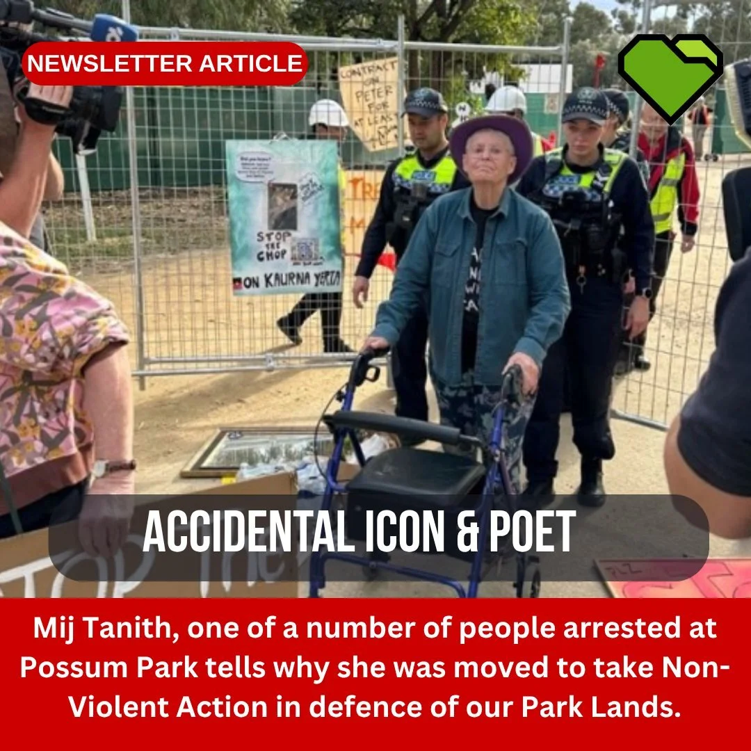 INSPIRE: Accidental Icon and Poet

Mij Tanith, one of a number of people arrested at Possum Park tells why she was moved to take Non-Violent Action in defence of our Park Lands.

&ldquo;I am an accidental icon. But if this unlooked-for outcome inspir