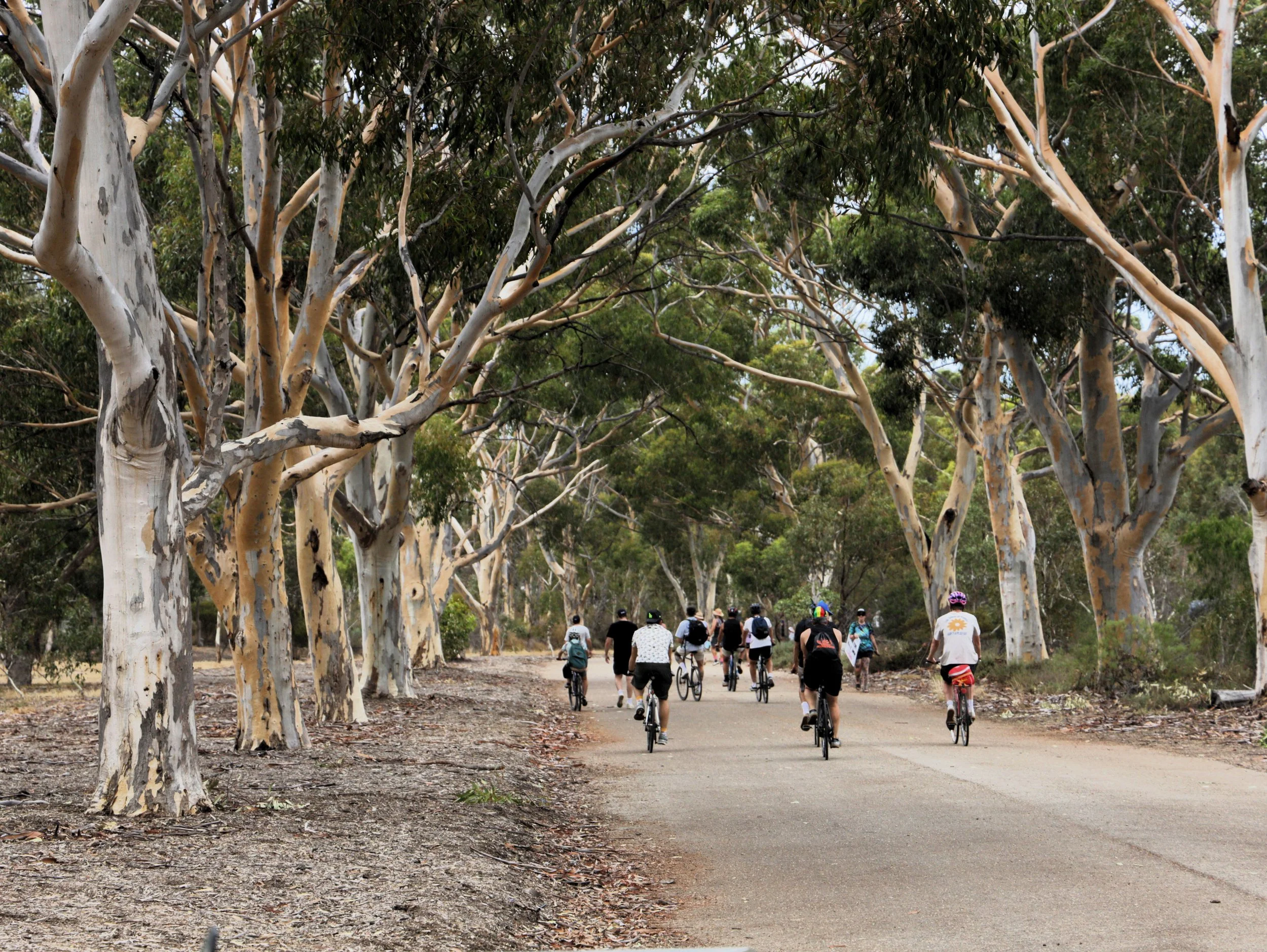 Adelaide's Park Lands Keep the City Moving 