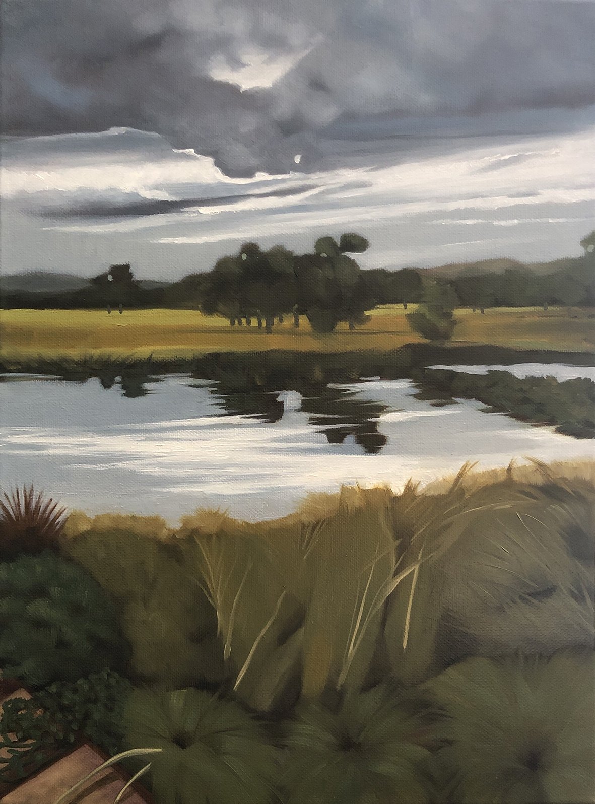 Winter Wetlands Early Morning Light - Barbara Harkness.jpg