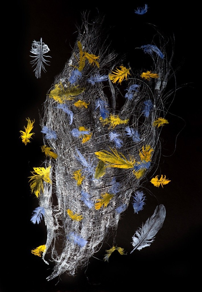 Light and Dark - Bernadette van Eyk.jpg