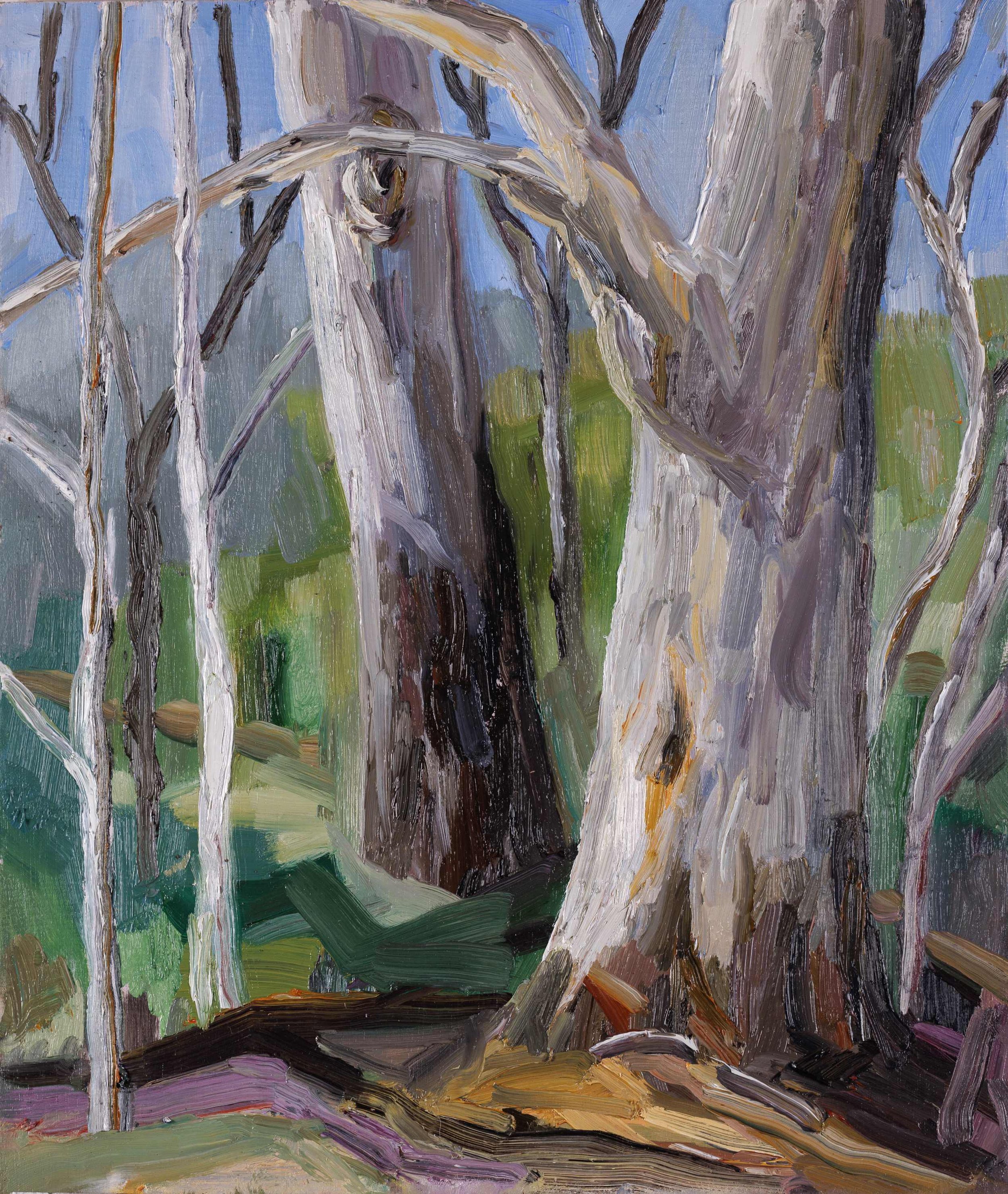 The observational intimacy of gumtrees that hold us beyond the change in light - Gemma Rose Brook.jpg