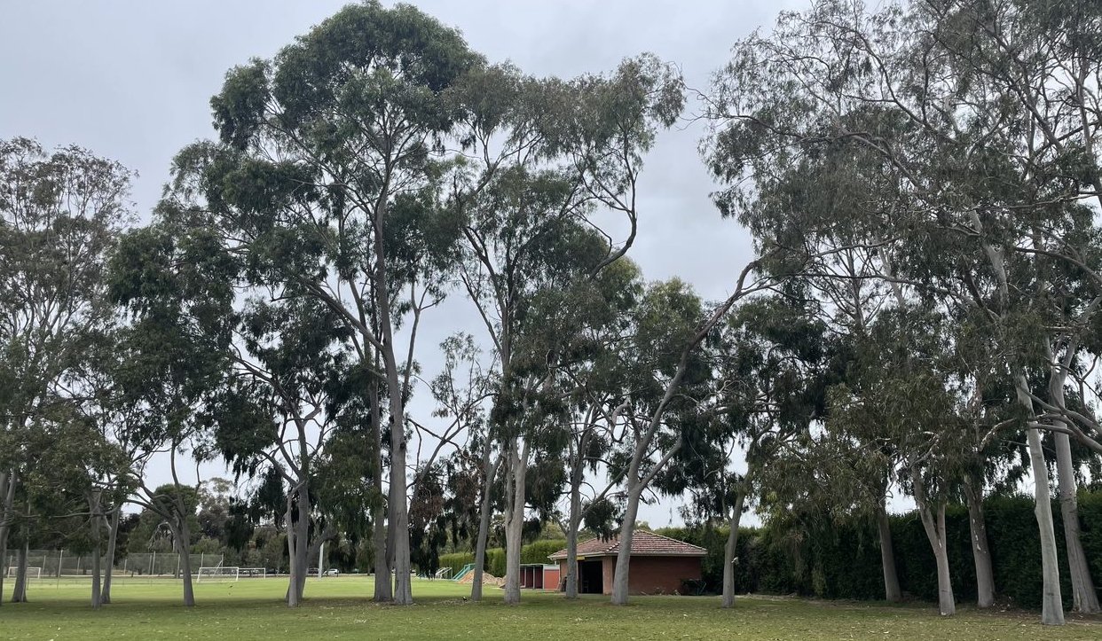 Park 10 Tour — Adelaide Park Lands Association