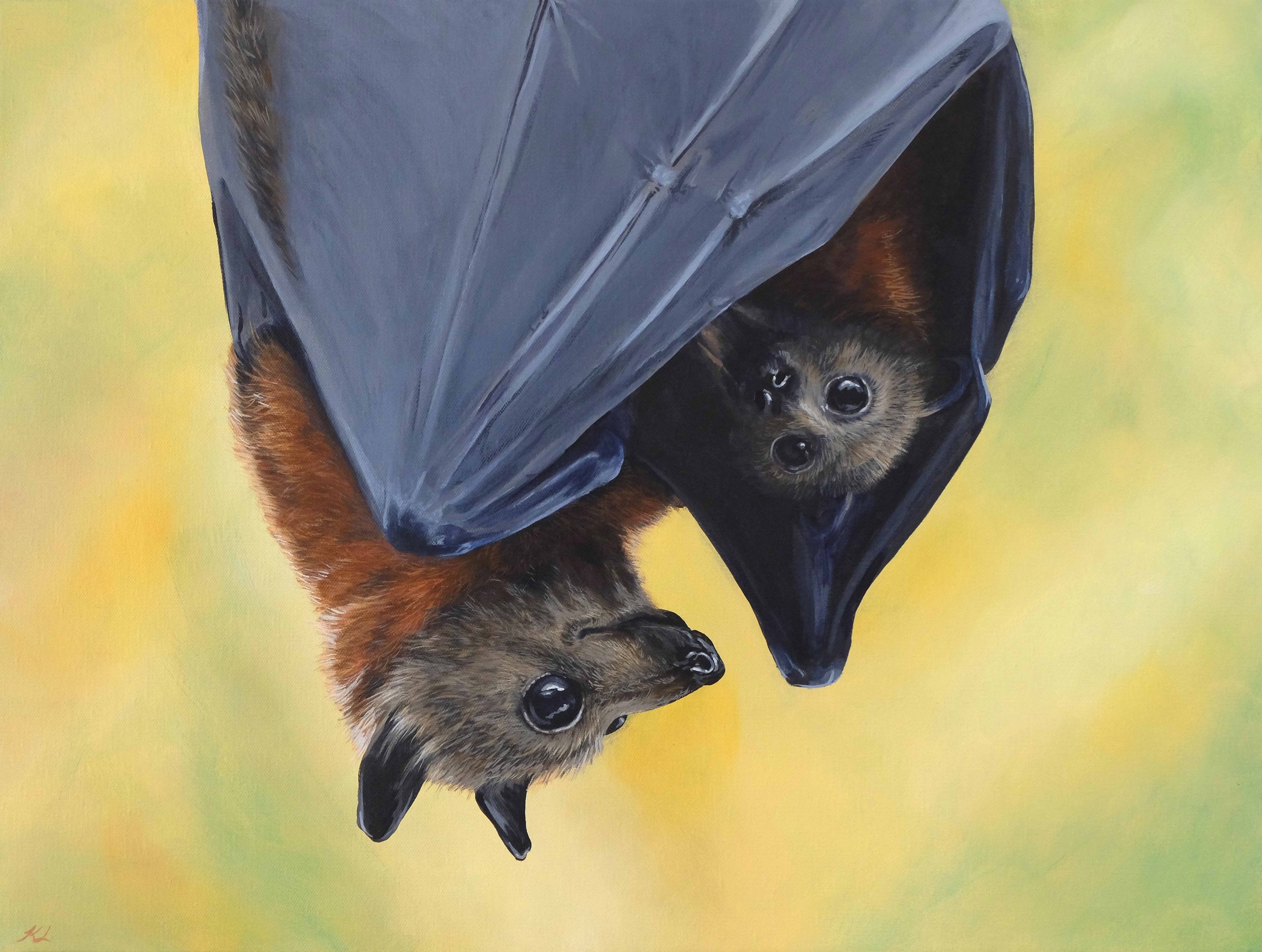 CradledInTheCanopy_Kate Marie Lewis.jpg