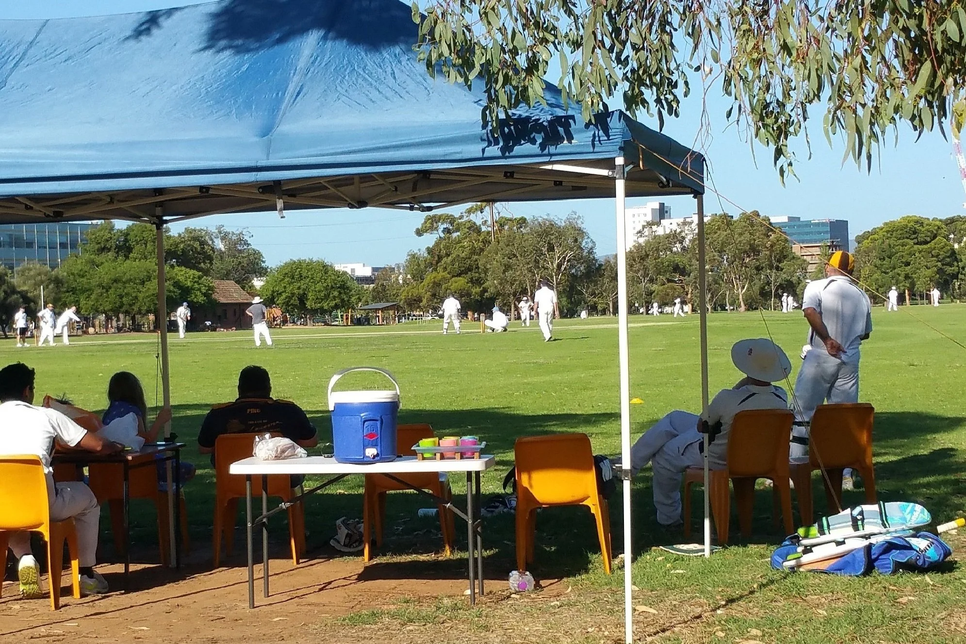 Fit for what purpose? — Adelaide Park Lands Association