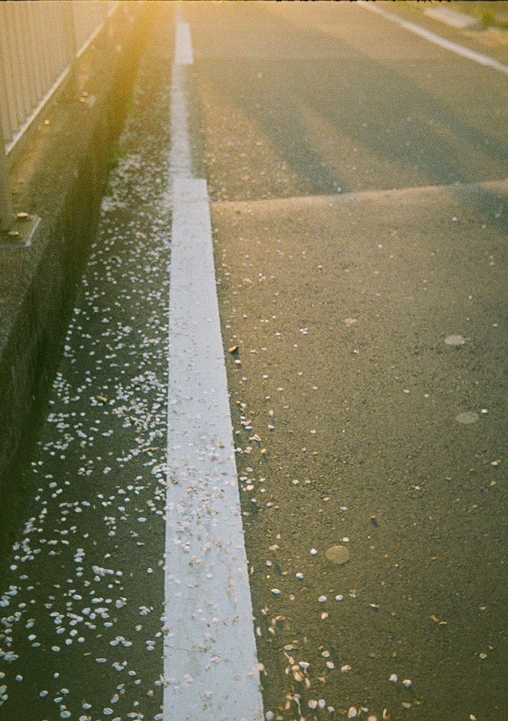 IMG_3117.jpg