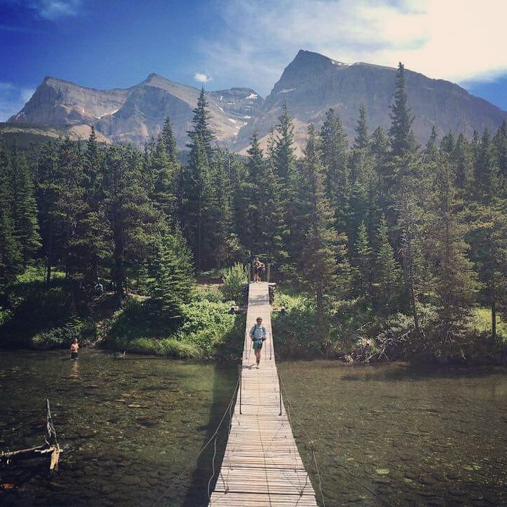 First of many bridges that can bear one hiker at a time and make one feel like a drunken sailor