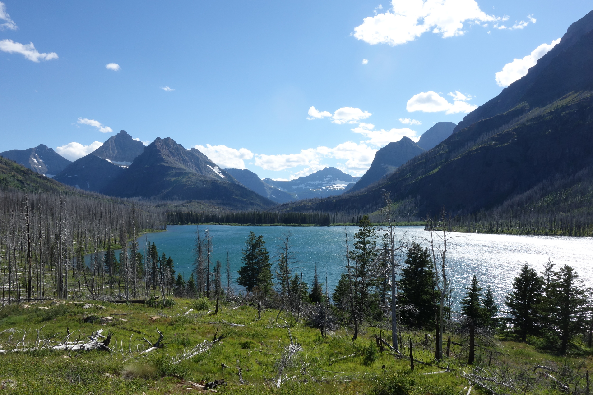 The far (south) end of the lake is Red Eagle Lake Head CG - the tiny stand of live trees