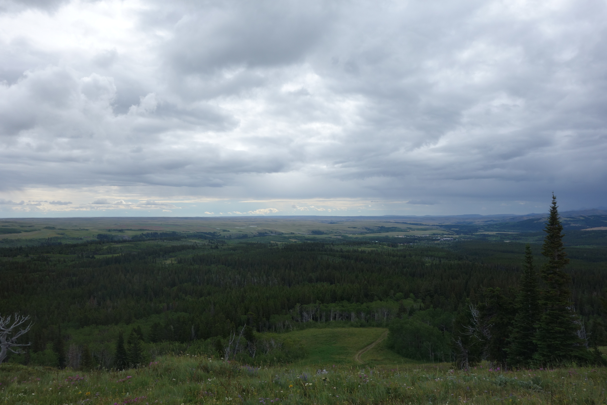 The scenery changes down by E. Glacier