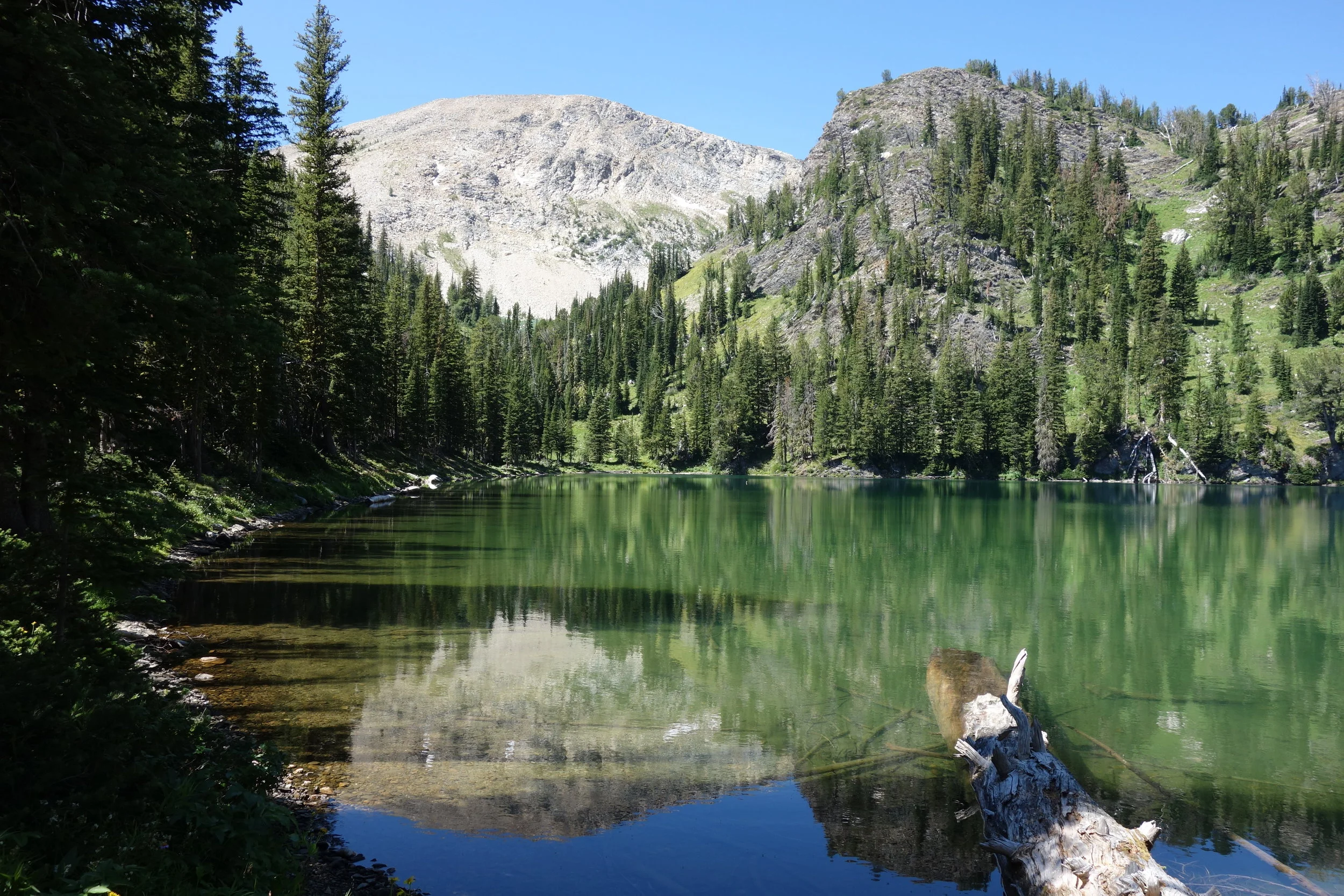Oreamnos Lake