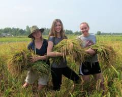 UM Climate Change Studies students doing field work (literally...) in Vietnam