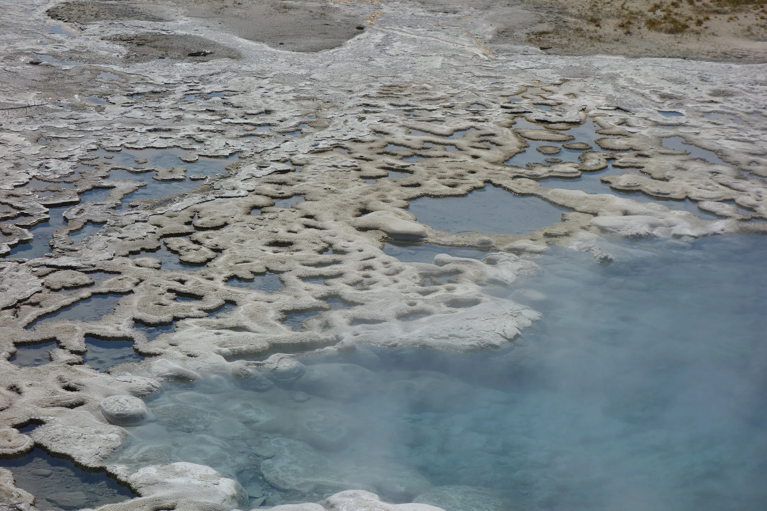 Thousands of photographs are taken each day of the area around Old Faithful, many by professional photographers with far more sophisticated equipment than I can carry. For this reason, I hardly took any photos in this area, but if you're curious as to what it looks like, some good Google searches would be Old Faithful Geyser, Grotto Geyser, and Sapphire Pool. 