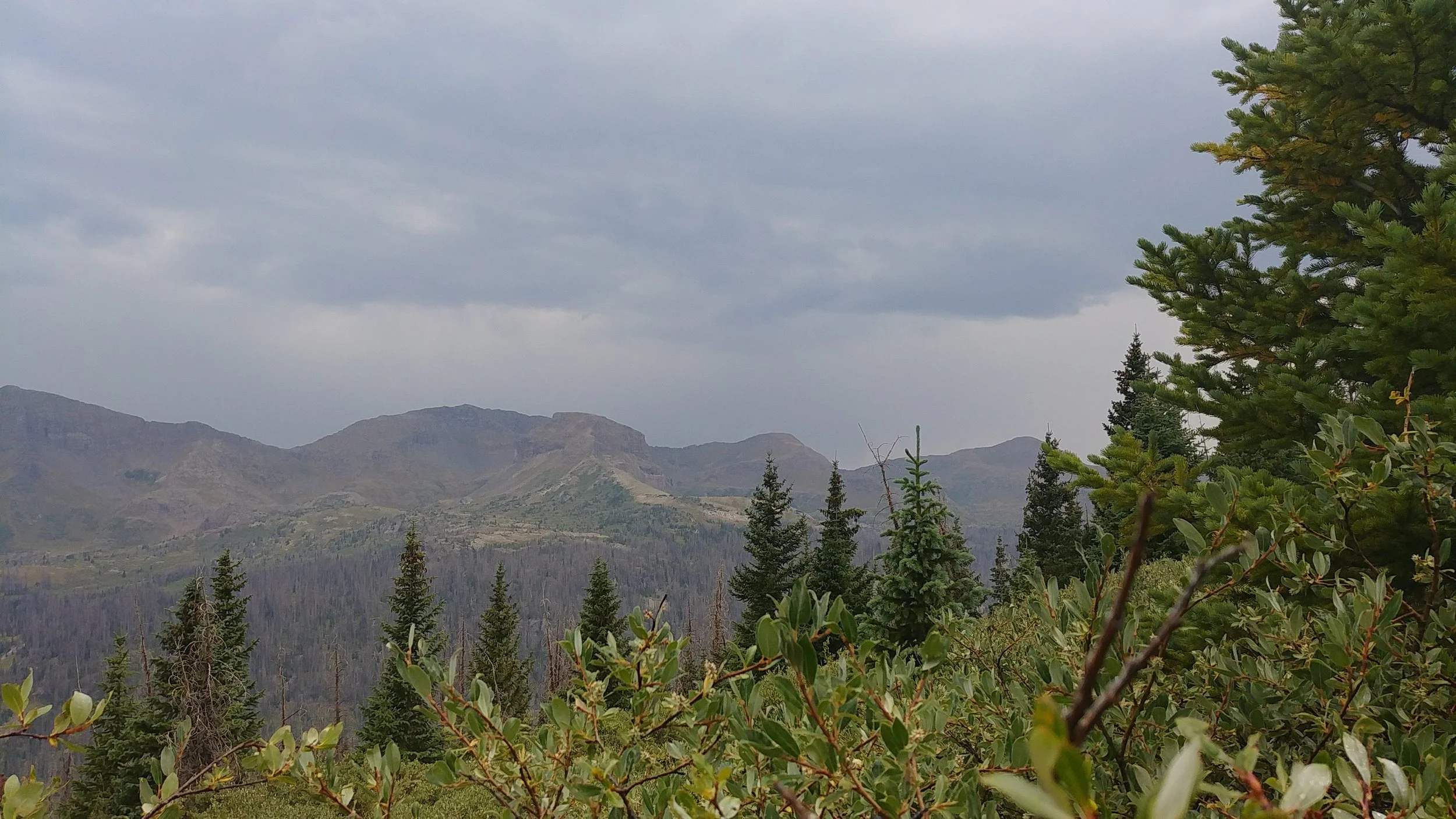 Lightning struck those peaks over and over and over.