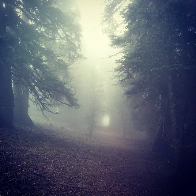 I suppose I'm getting ahead of myself a bit. I went back to the PCT in May to hike a section around Etna, CA that had been closed due to fire. I hiked some stretches I had already completed, too. My friend Pan joined me from Ashland to Etna - we got 