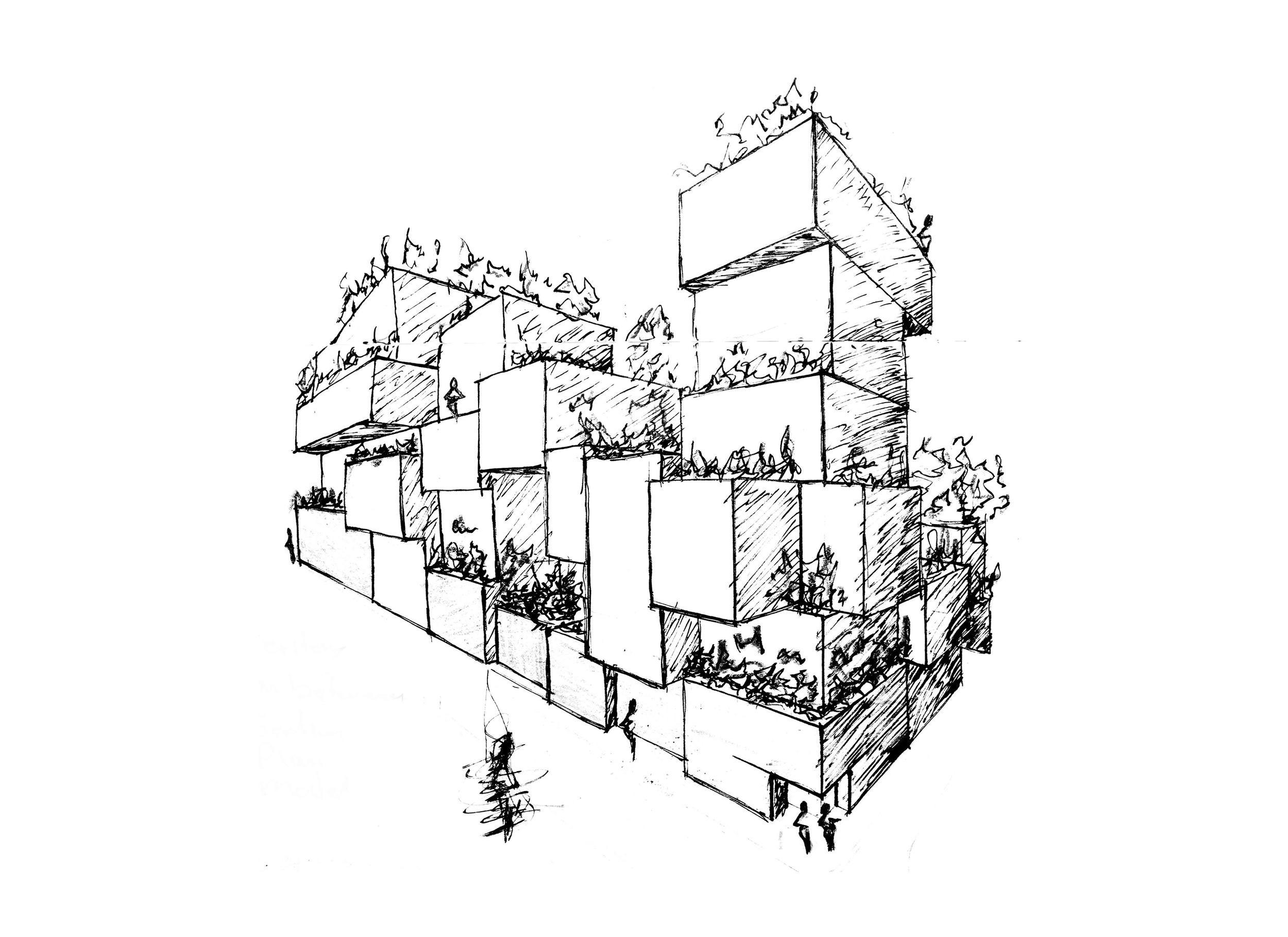 sketch-1.jpg