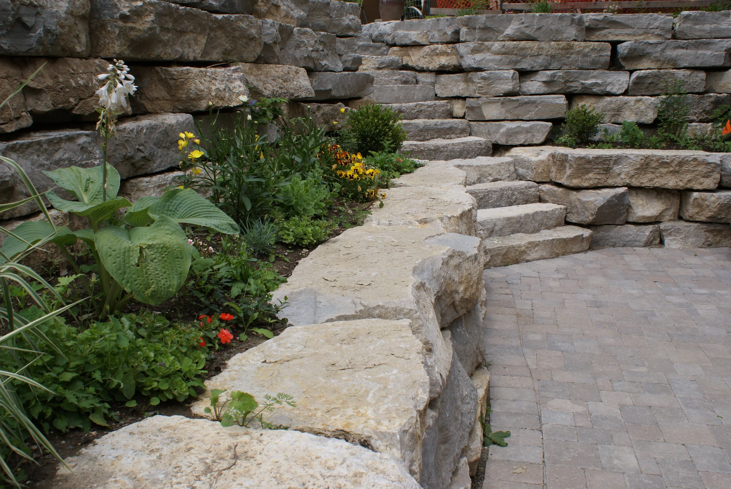 Birkendeal-joe 3.JPG