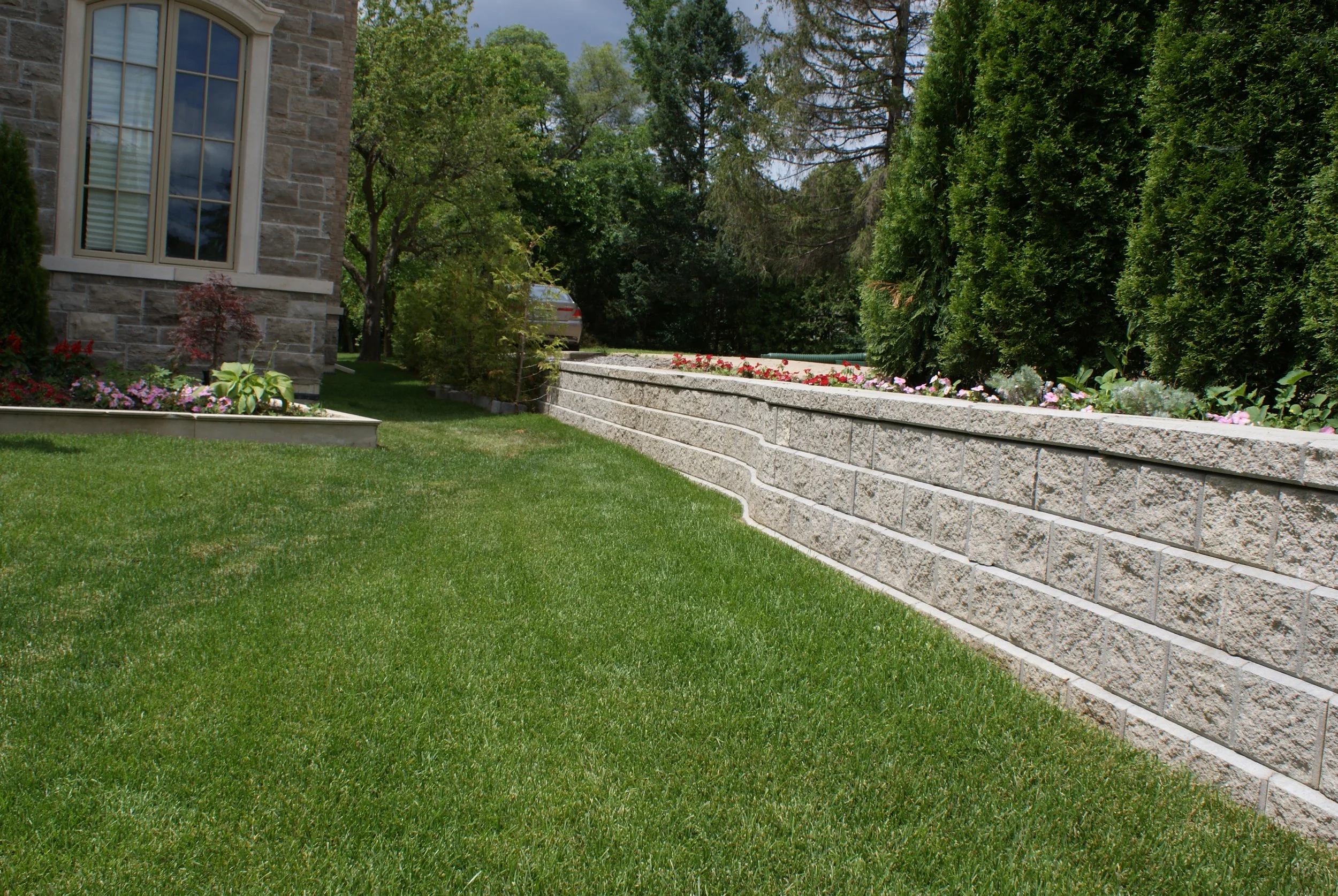 Birkendeal-joe 6.JPG