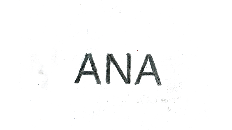 Ana Projects