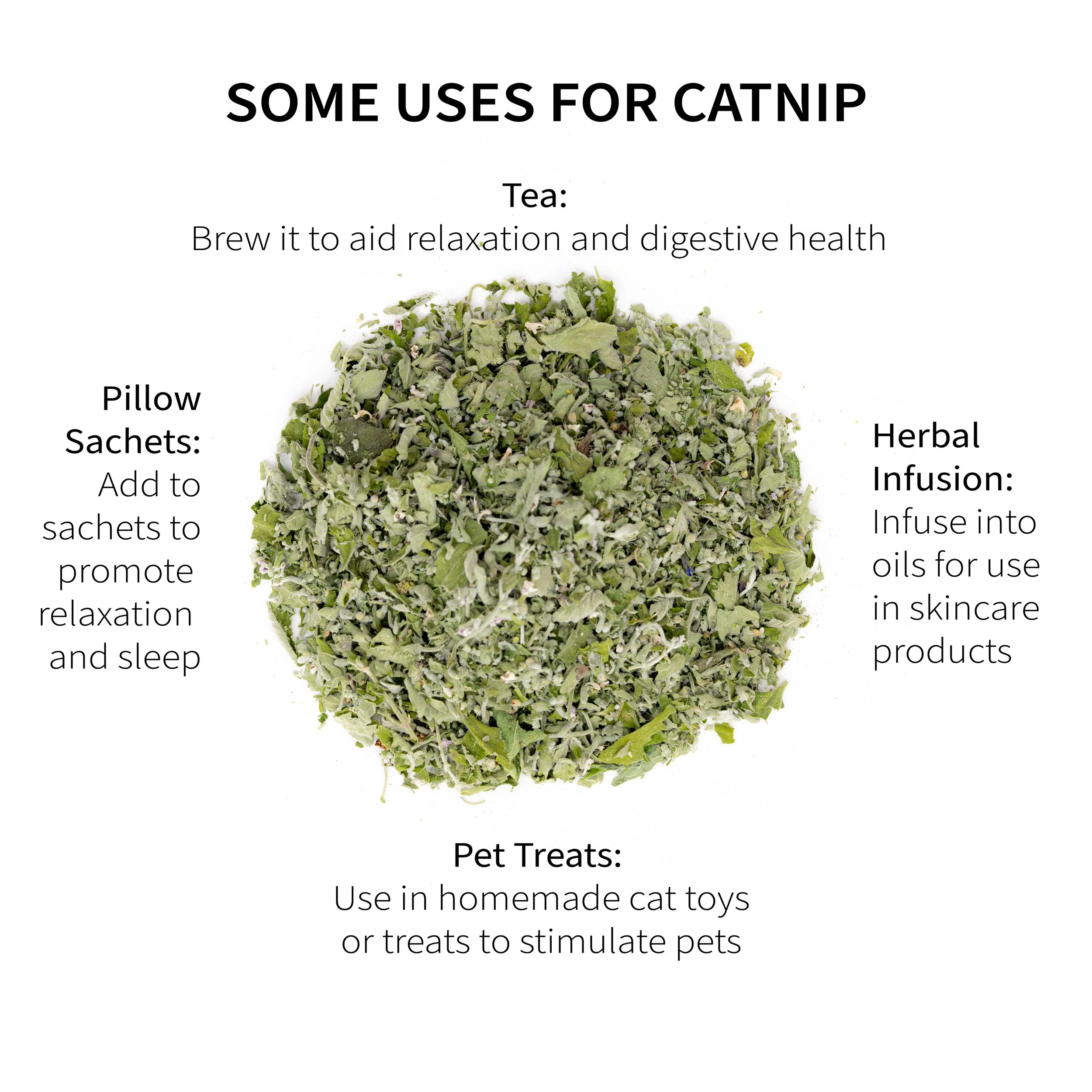 3_Catnip Uses V2.jpg