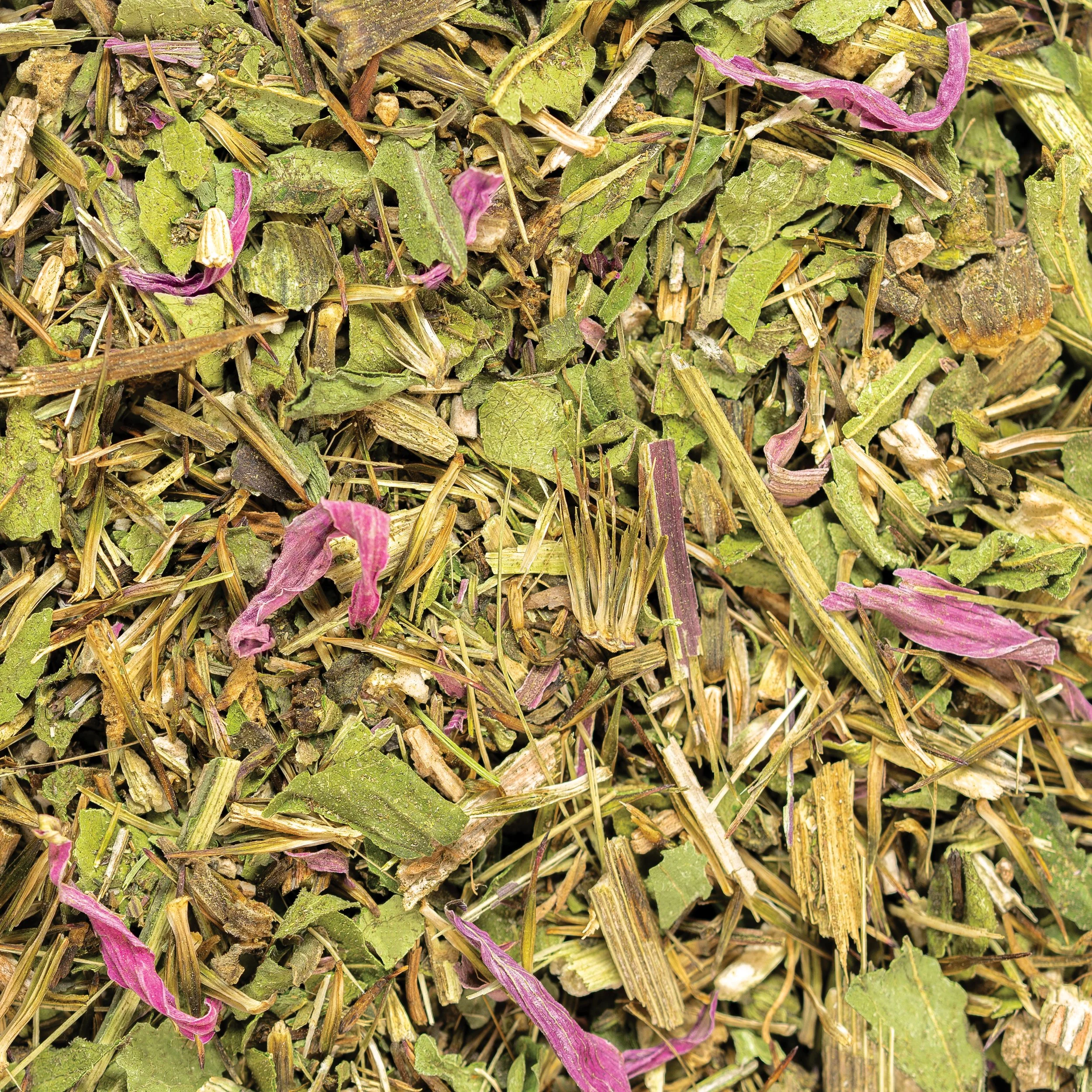 5_Echinacea Purpurea_Bulk Label Macro.jpg