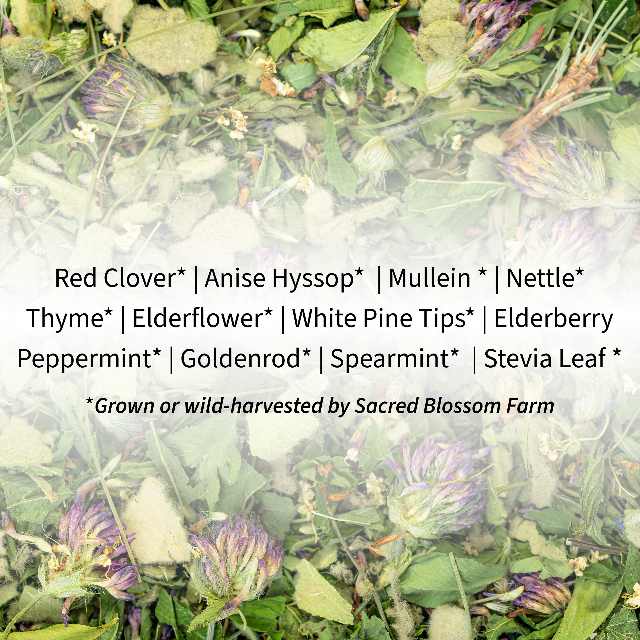 4_Breath Ingredients.jpg